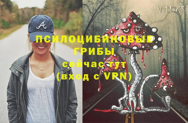 мескалин Арсеньев
