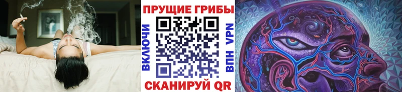 Псилоцибиновые грибы Cubensis  Чудово 